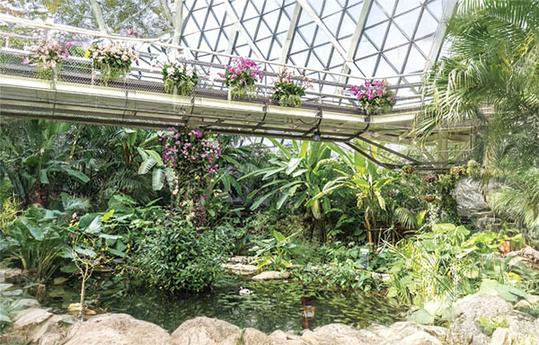 열대우림을 걷는 듯한 기분을 느낄 수 있는 열대관의 산책로