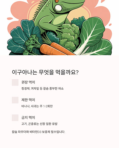 무엇을 먹을까요?