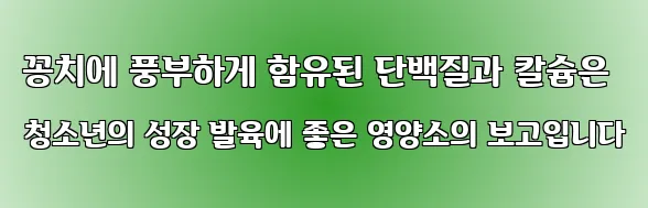 꽁치에 풍부하게 함유된 단백질과 칼슘은 청소년의 성장 발육에 좋은 영양소의 보고입니다