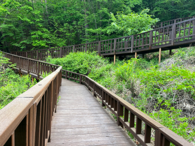 국립산림치유원 예약 방법 이용 가격