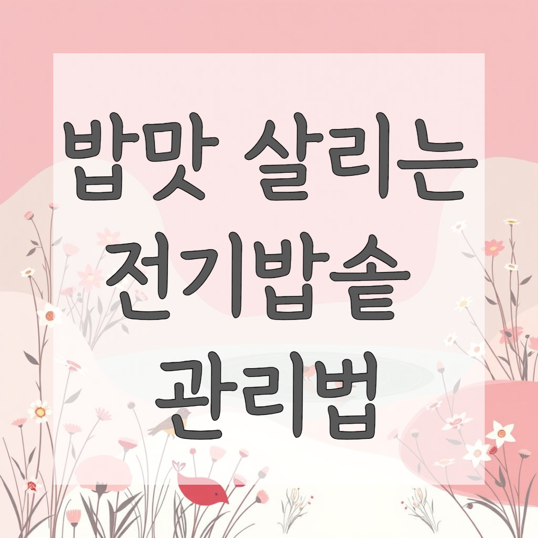밥맛 살리는 전기밥솥 관리법
