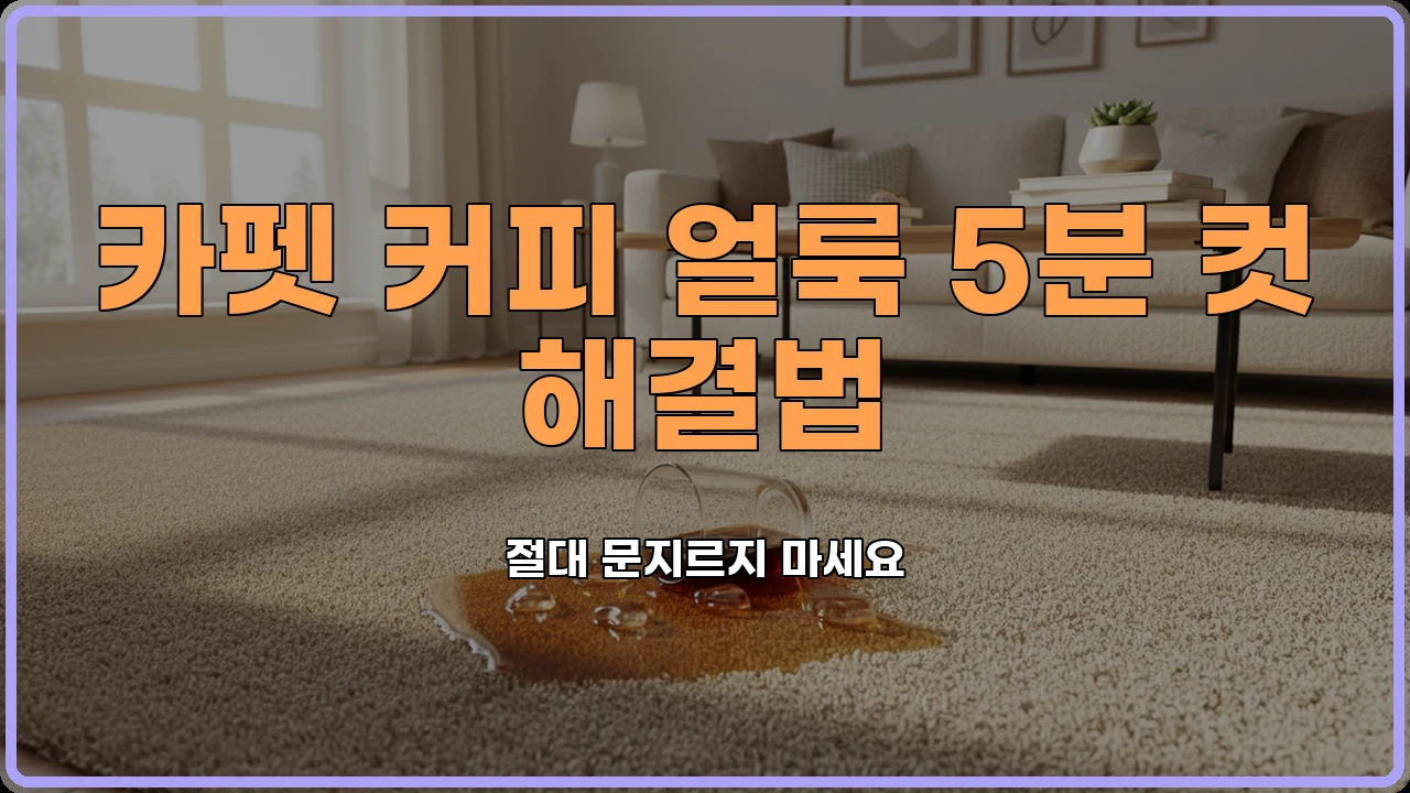 러그세탁