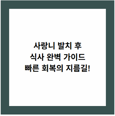 사랑니 발치 후
식사 완벽 가이드
빠른 회복의 지름길!