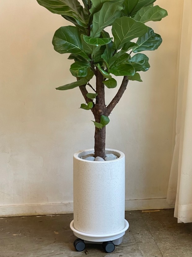 개업 축하 문구