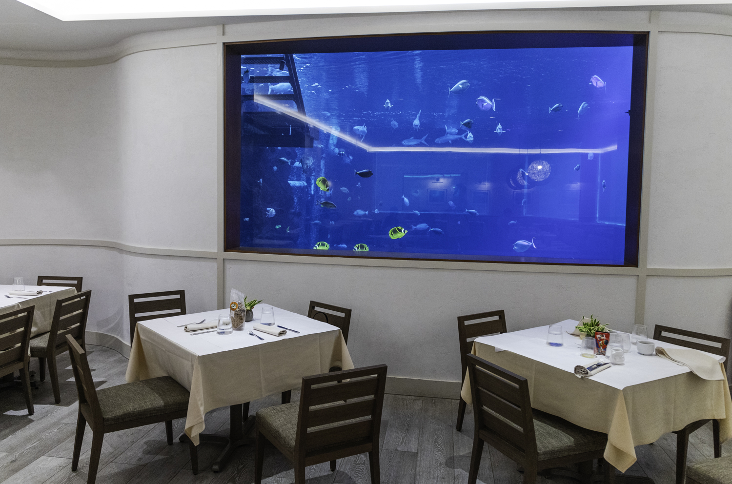 알로힐라니 리조트