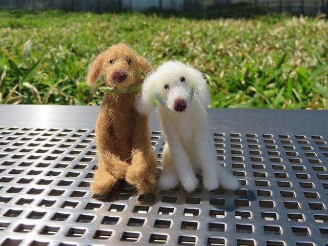 두마리의강아지가나란히앉아있는모습