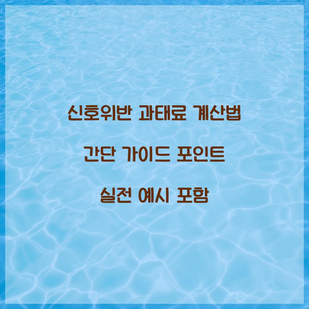 신호위반 과태료