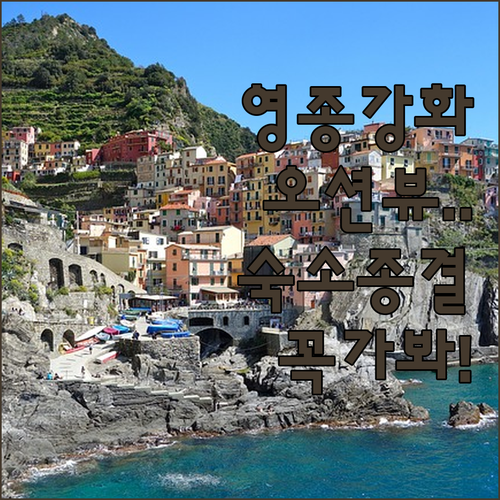 영종도 오션파크나인부터 강화도 바다소..