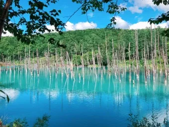 홋카이도 여름 여행코스 4박5일 일정과 맛집 정보 정리_4