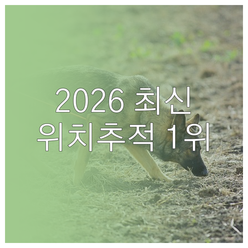2026년형 위치추적 어플 추천 순위..