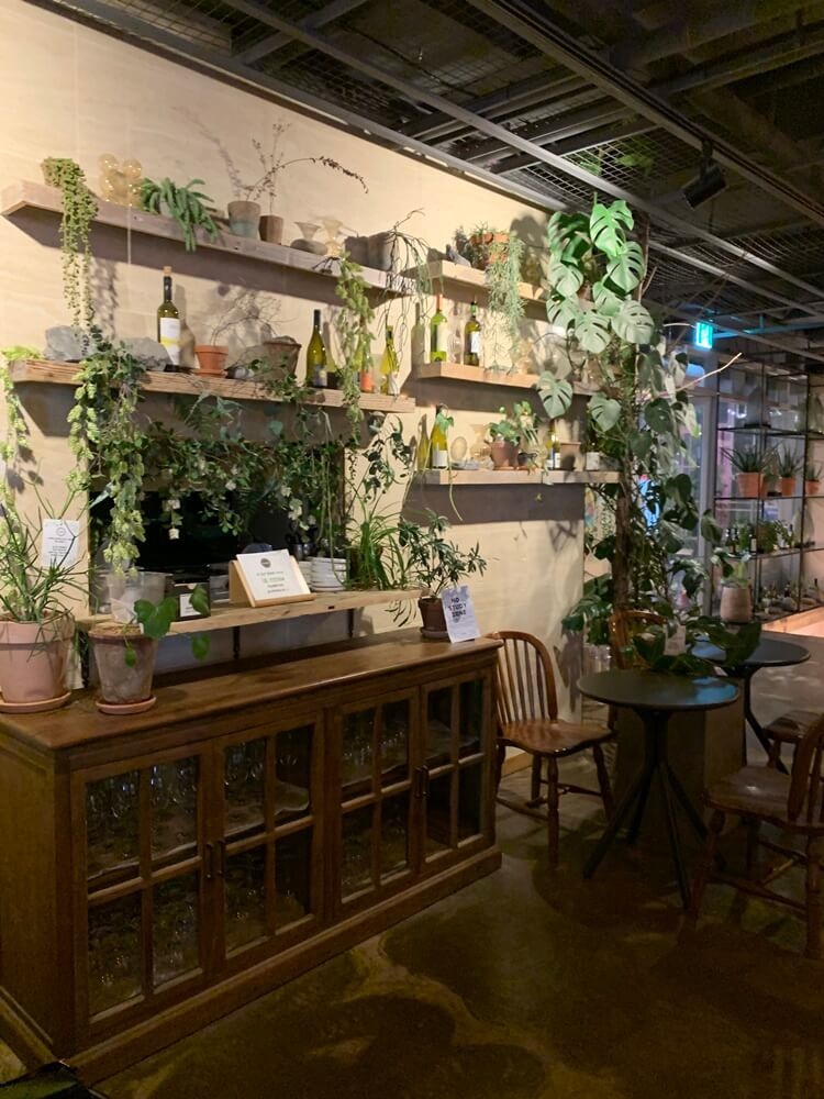 관리 잘 되어있는 식물들