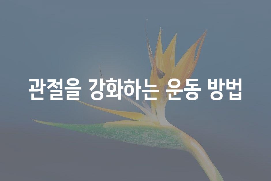 샘플 (45)