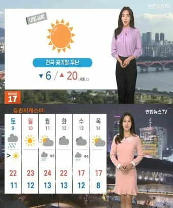 강풍 예비특보 낙과 낙하물 창문 고정 집안 대비법_5