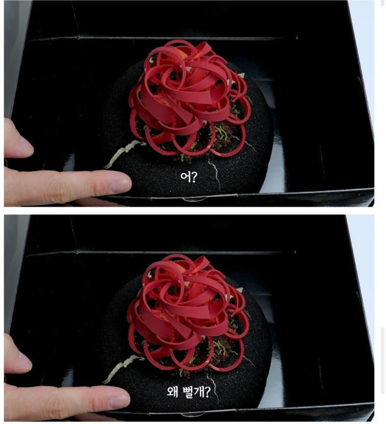 신라호텔-케이크