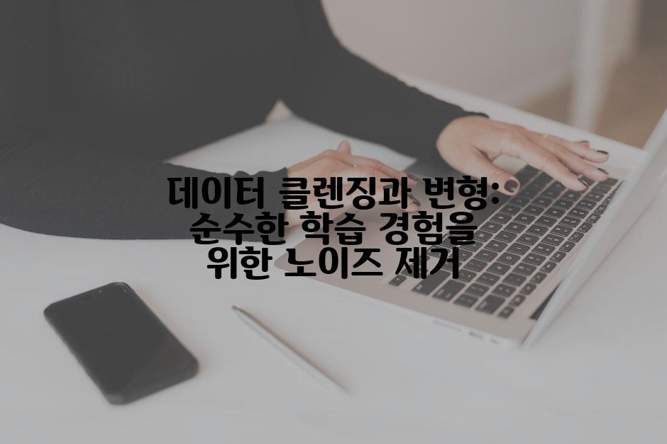 데이터 클렌징과 변형: 순수한 학습 경험을 위한 노이즈 제거