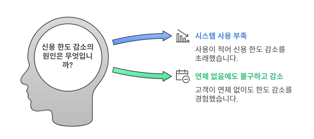 신용 한도 감소의 원인은 무엇입니까?