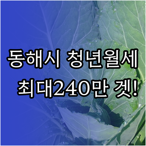 동해시 청년월세 한시 특별지원 신청 ..