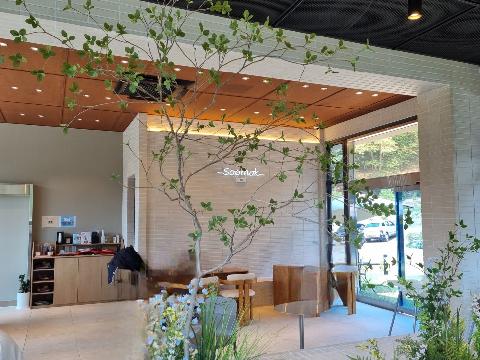 경기도 시흥 산골수목원: 연분홍 수국이 있는 식물원 카페