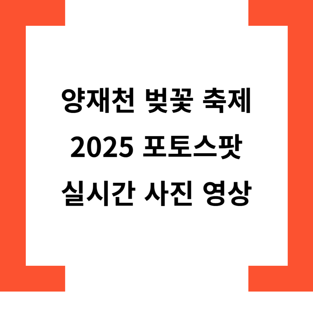 양재천벚꽃축제