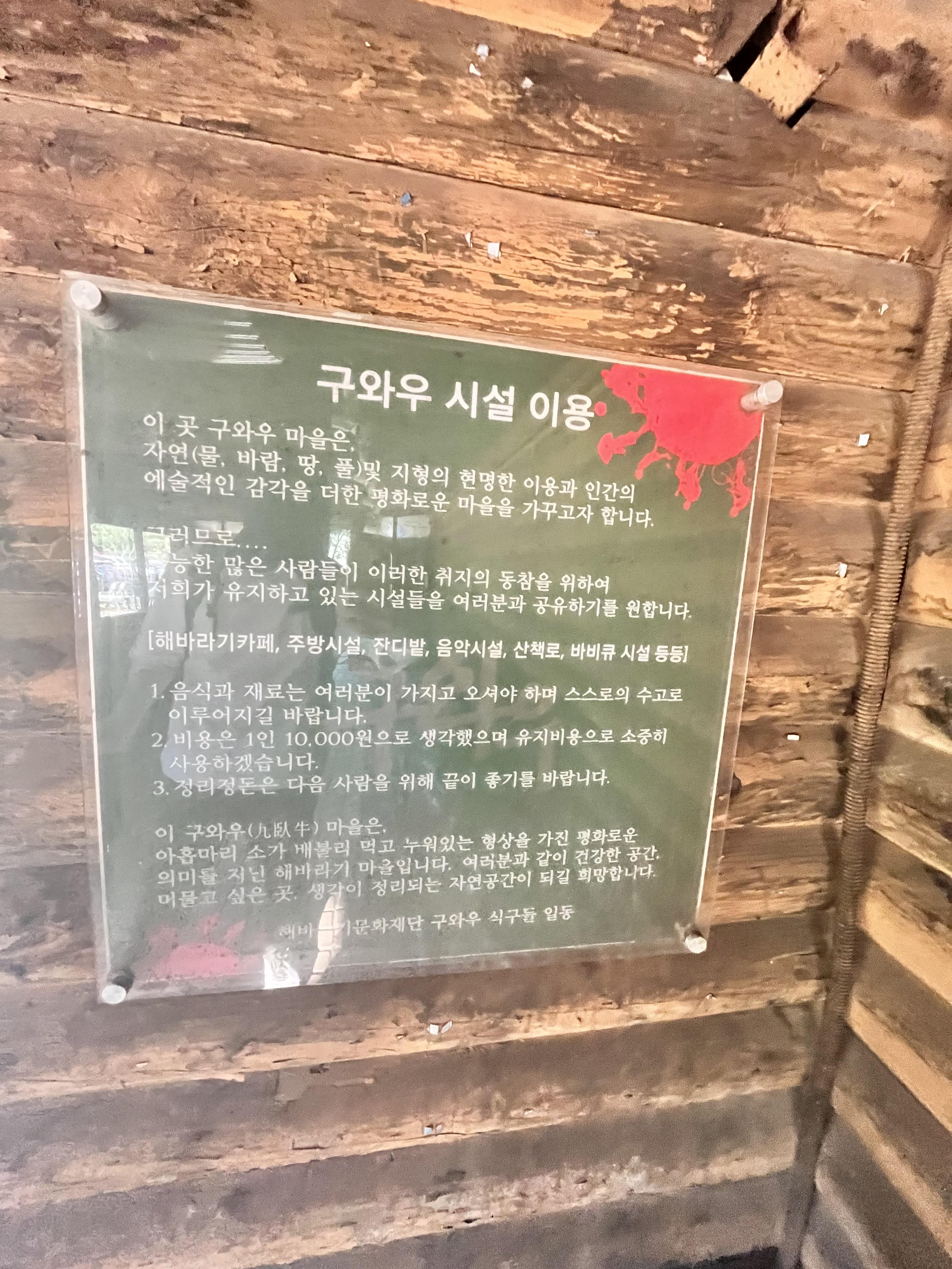 태백 해바라기축제