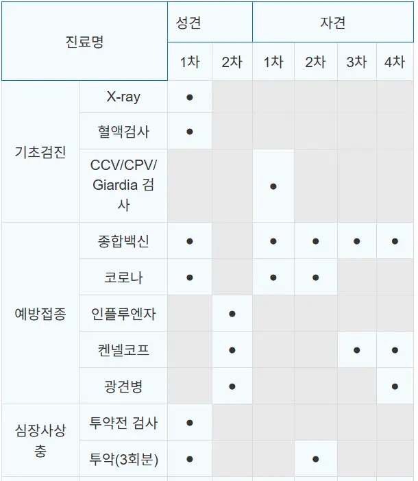 강아지 진료지원 항목