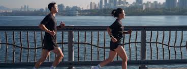 2026 새해일출런 대회 신청부터 일정 코스 총정리