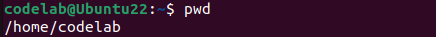 pwd 예시