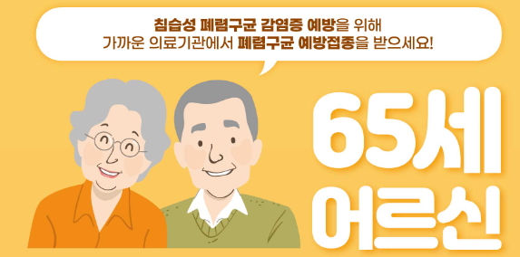 폐렴 예방접종! 필수 정보 총정리!