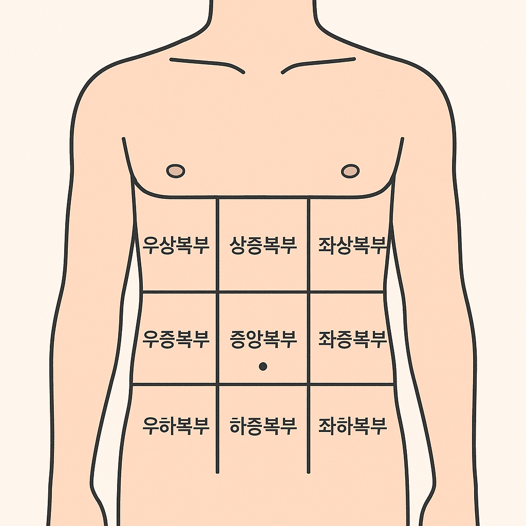 배가 아플때 통증 위치에 따른 원인과 관련 질환, 어디가 문제일까?