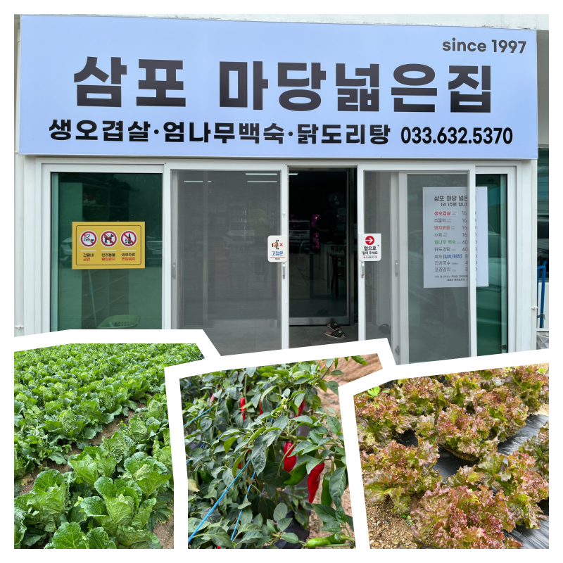 삼포마당넓은집