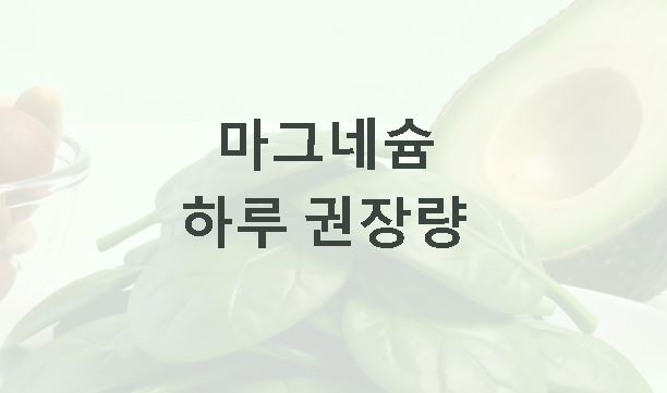 마그네슘 하루 권장량