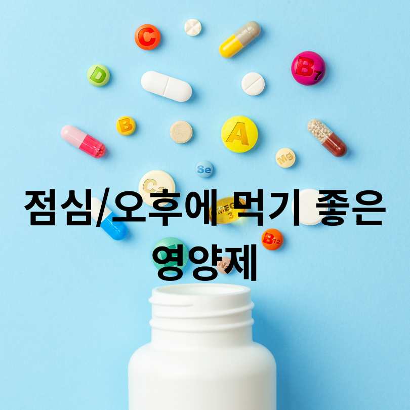 영양제 먹는 순서와 시간