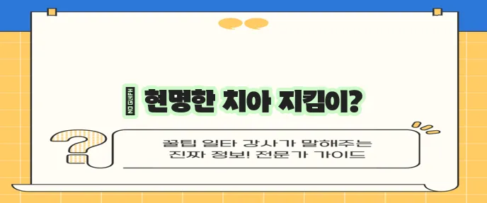 치아보험 비교사이트 활용의 효과