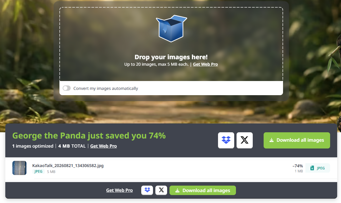 TinyPNG 프로그램을 통해 원본 이미지 용량이 74% 감소하여 1MB로 최적화된 압축 완료 결과 화면