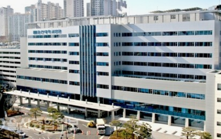 2024년 대한민국 의과대학순위 TOP10