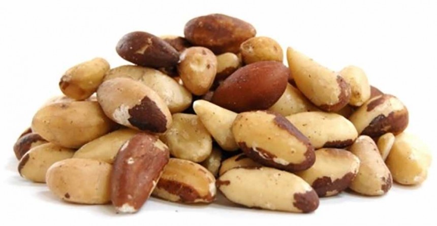 갑상선기능저하증 좋은 음식