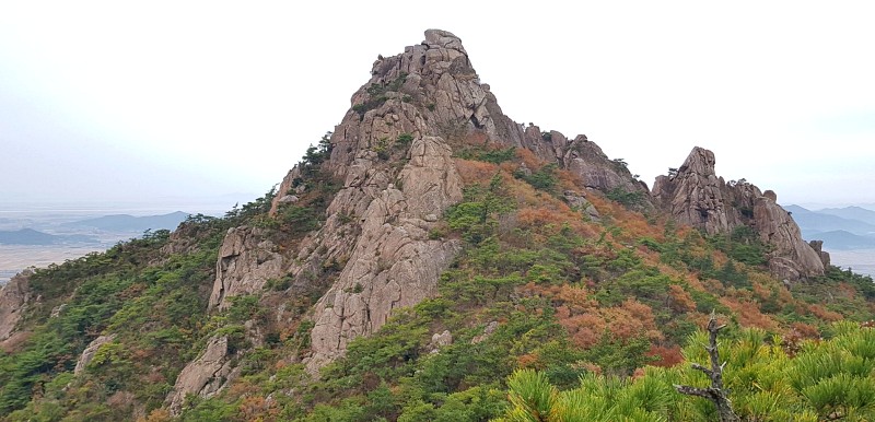 전남 강진 월각산 28
