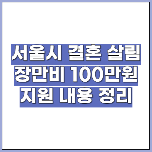 서울시 결혼 살림 장만비 100만원 지원 내용 정리