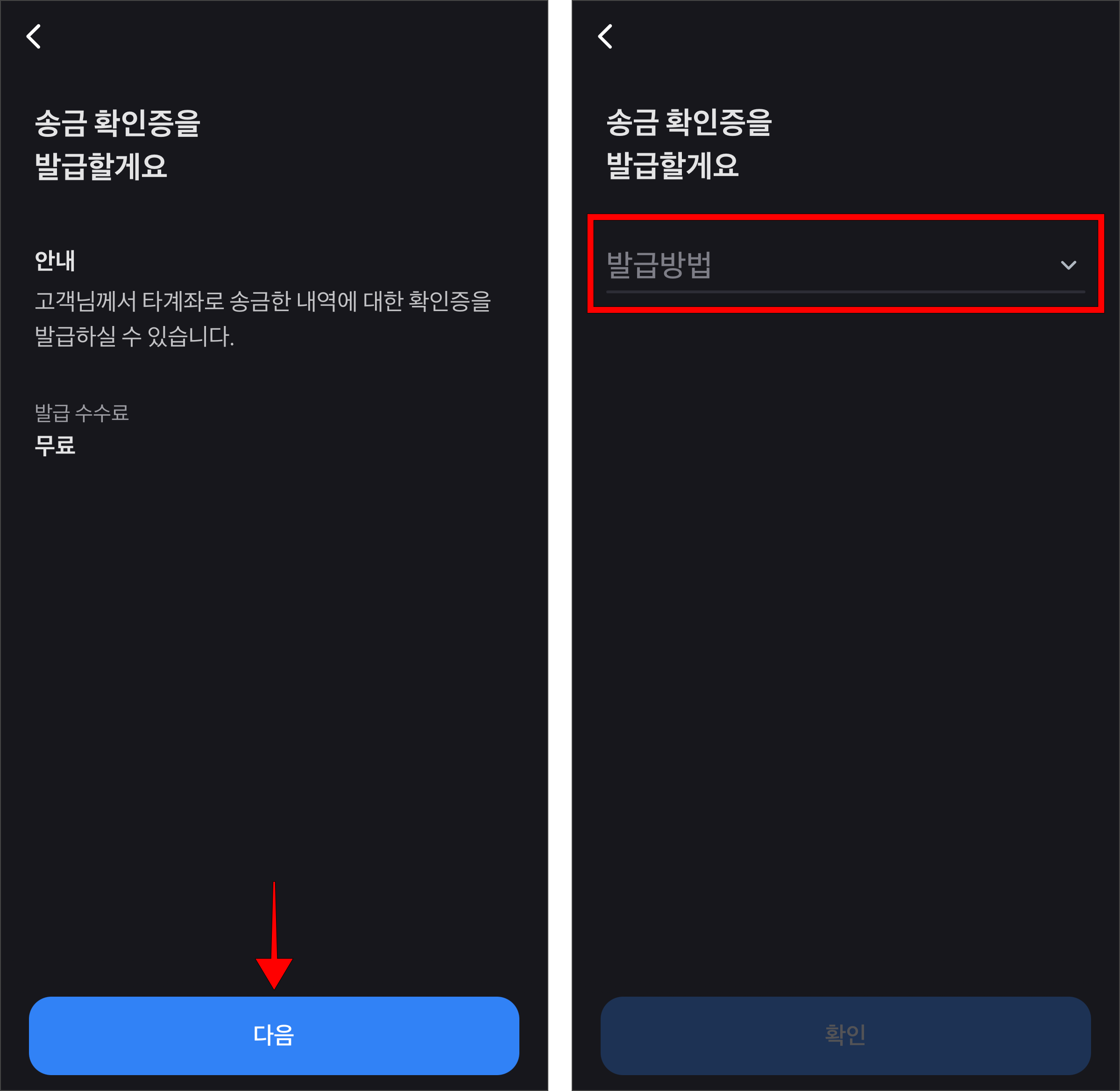 송금확인증 발급 안내를 확인하고 다음을 선택한 후 발급 방법을 선택