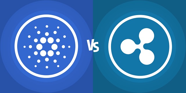 에이다와 리플 이미지