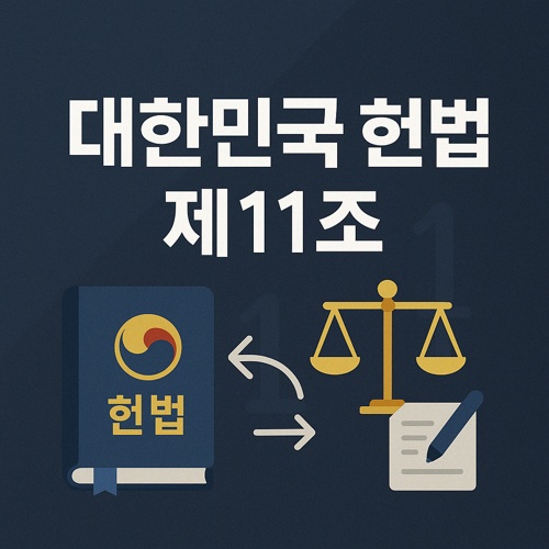 대한민국 헌법 제11조 섬네일