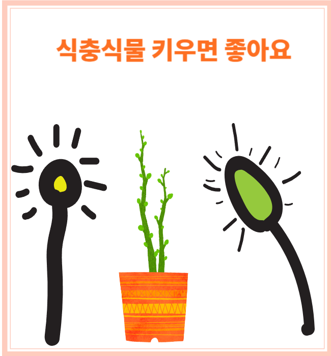 식충식물 관리요령 및 키우면 좋은 점