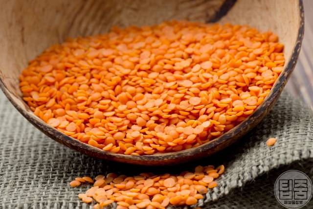 조금만 먹어도 배부른 음식 렌틸콩 다이어트식품 추천