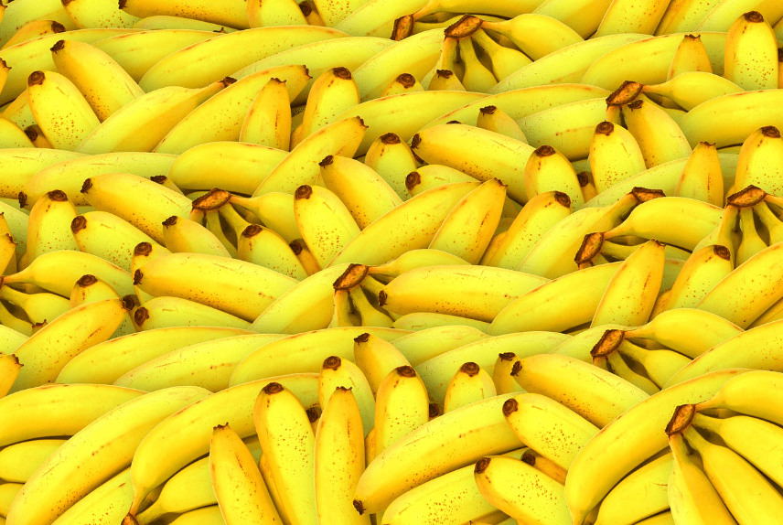 역류성식도염에 좋은 음식