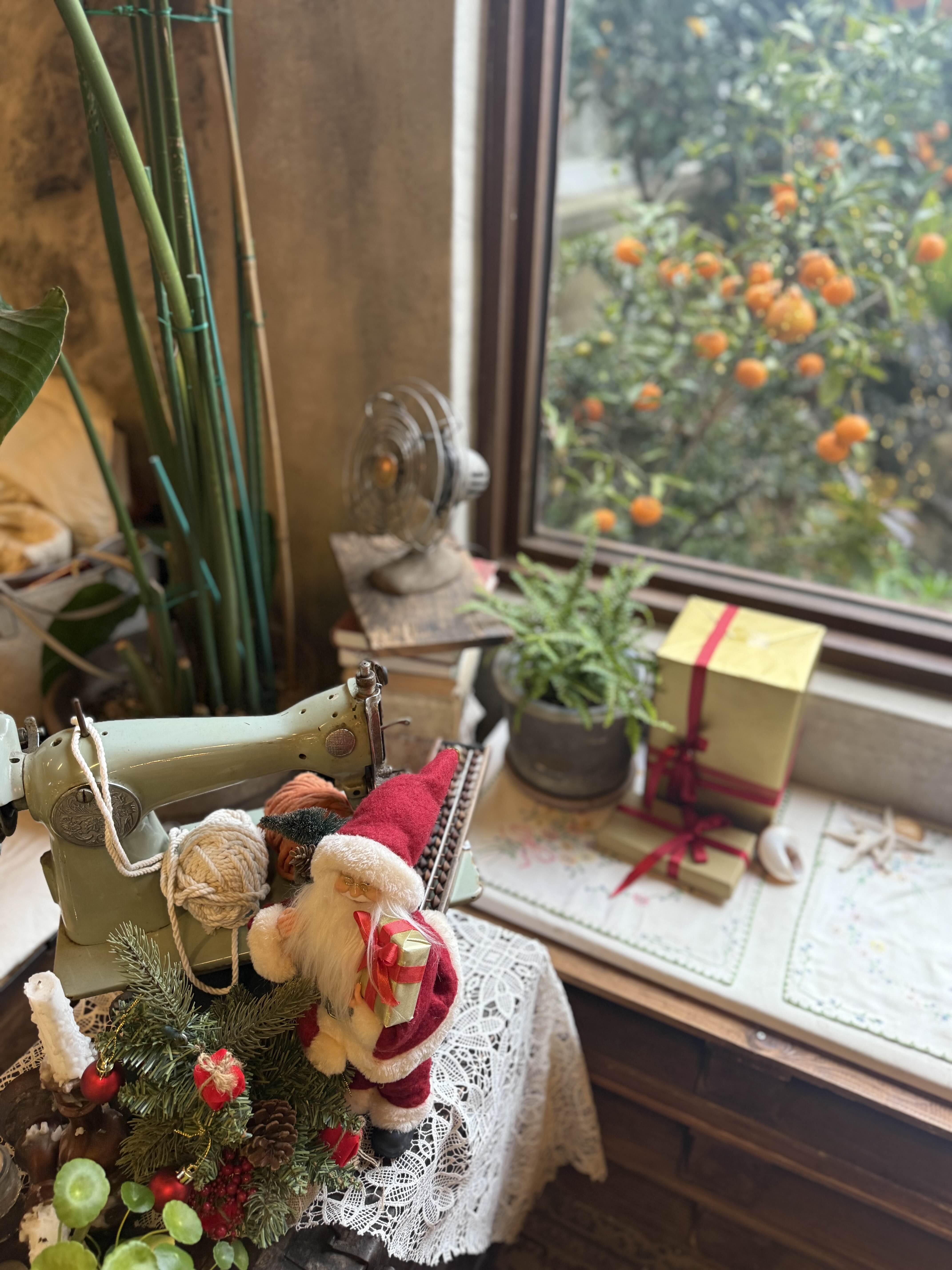 귤꽃다락 포토존