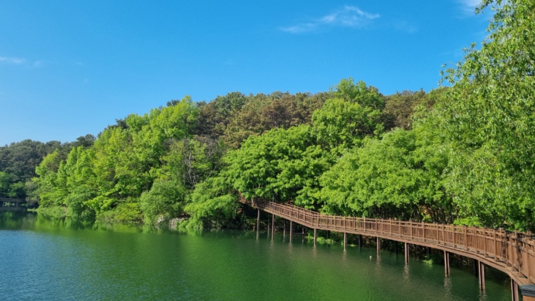 논산 탑정호수 둘레길