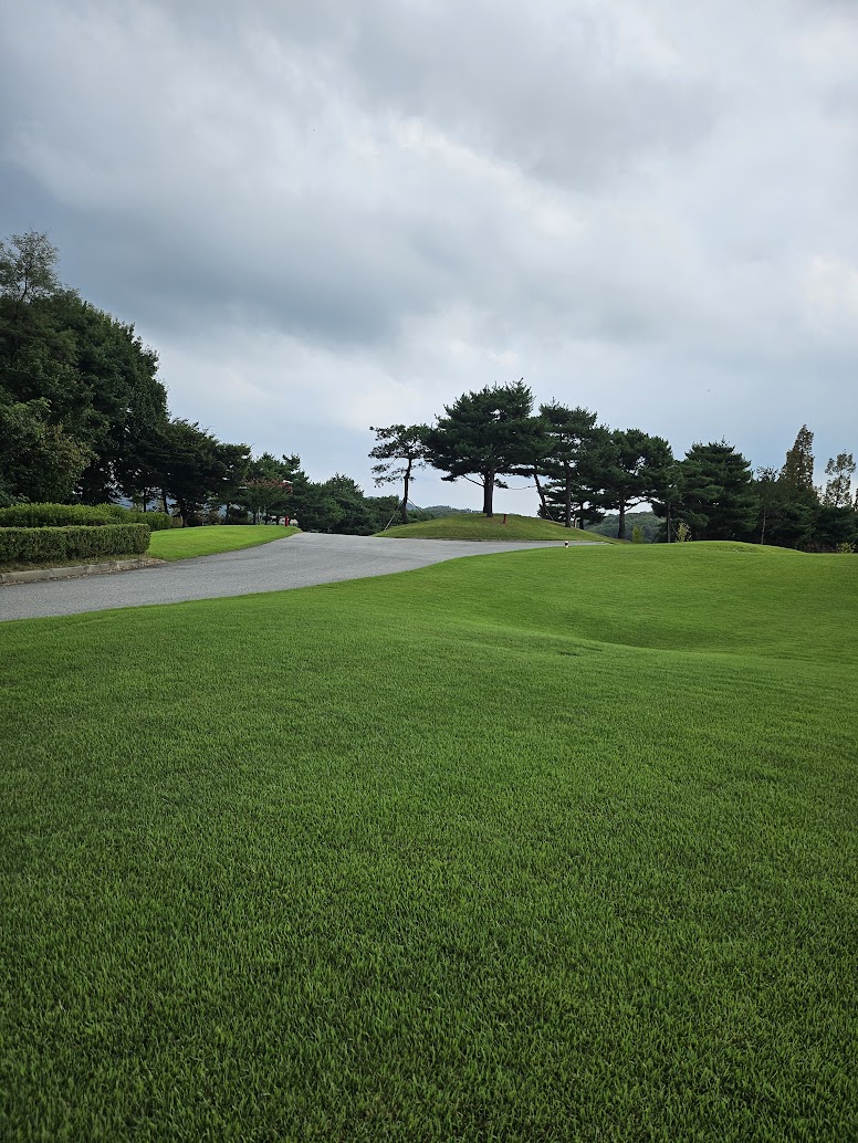 강원지역 노캐디 골프장