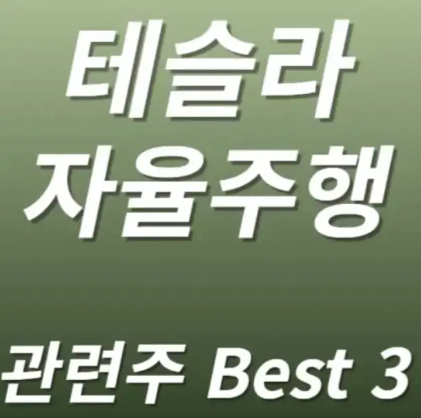 테슬라 TSLA 자율주행 관련주 수혜주