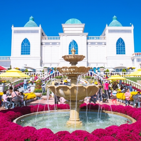 임실 가볼만한곳 베스트10