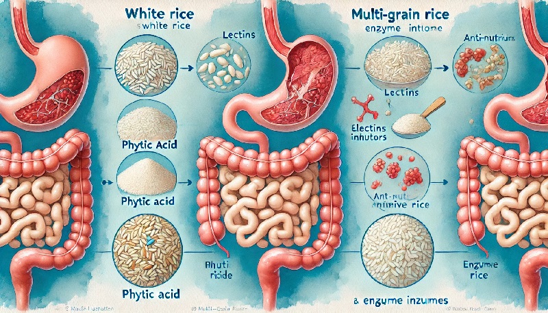잡곡밥이 더 건강하다고? 백미와 잡곡의 불편한 진실&amp;#44; 내 몸이 알려준 소화 비밀